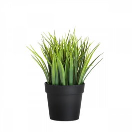 Aberto Design Maceta Decorativa Negro y Verde
